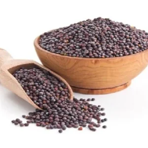 Home api16 1 500x500